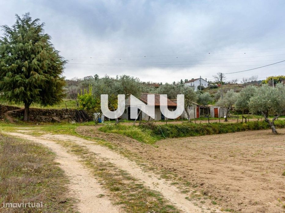 Fabulosa Quinta com 15.500m2 para venda em Ferro, Covilhã!