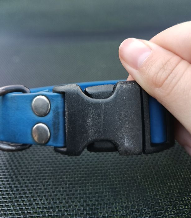 Wodoodporna, niebieska obroża z czarną klamrą zatrzaskową Hauka.dog