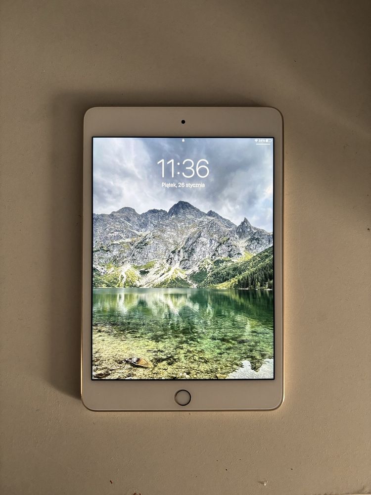 Ipad mini 4 generacji