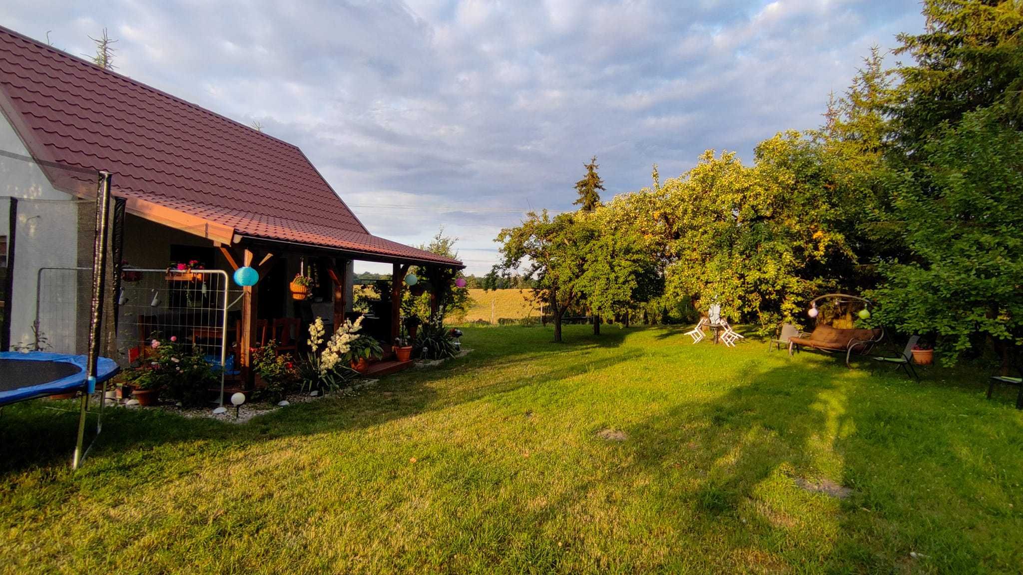 Domek w sadzie do wynajęcia