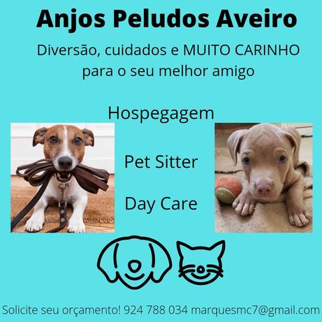 Anjos Peludos Aveiro - Pet Sitter e Hospedagem