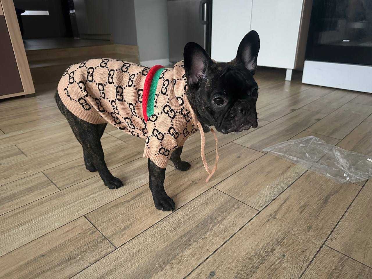 Swetr dla psów z kapturem