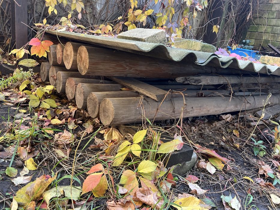 Бревна сосна прямые