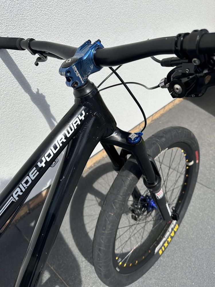 Dartmoor Hornet 4x [NOA Hubs,Spank,Carbon]