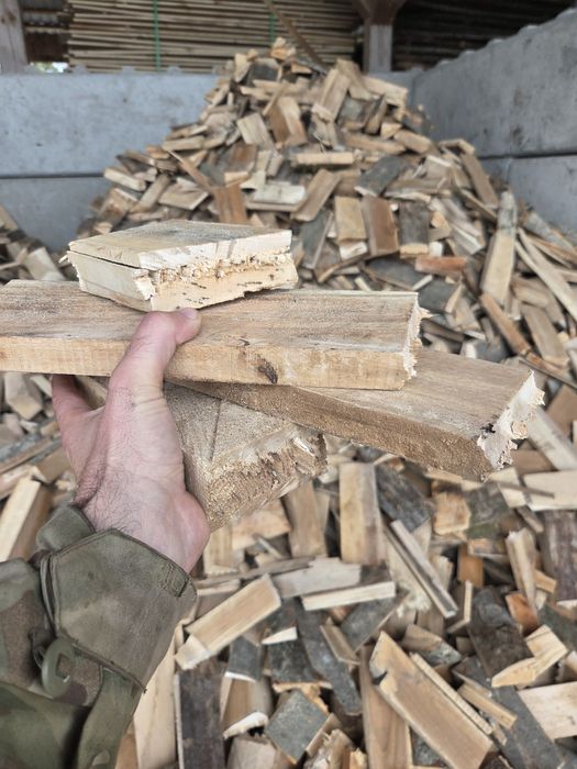 Opał bukowy jak gałęziówka buk