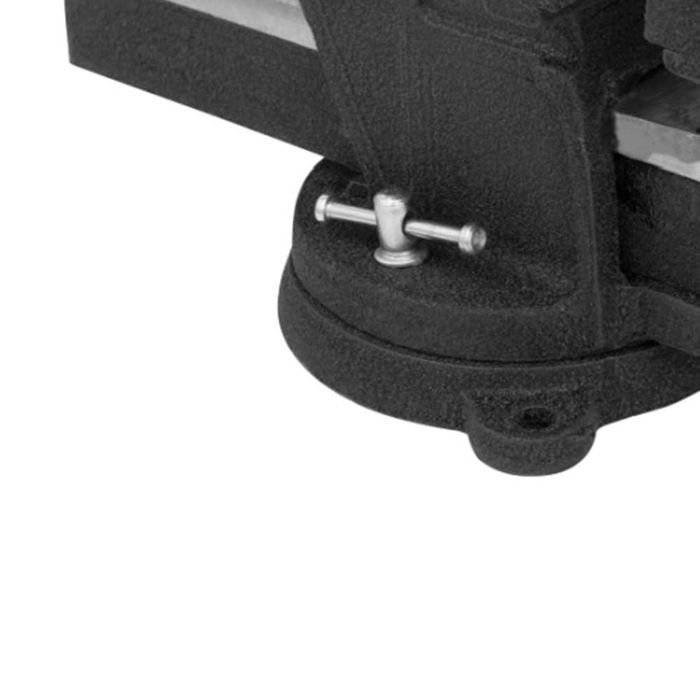 BASS POLSKA Imadło Stołowe Ślusarskie Z Kowadłem 125 Mm BP3261