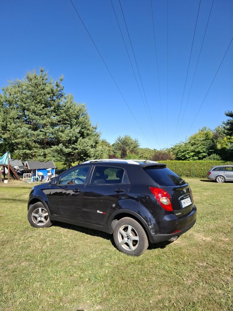 Ssangyong korando