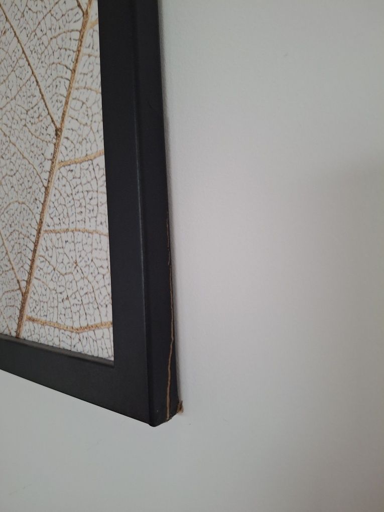 Obrazy dyptyk 53x73cm uszkodzone
