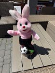 Kroliczek duracel interaktywny