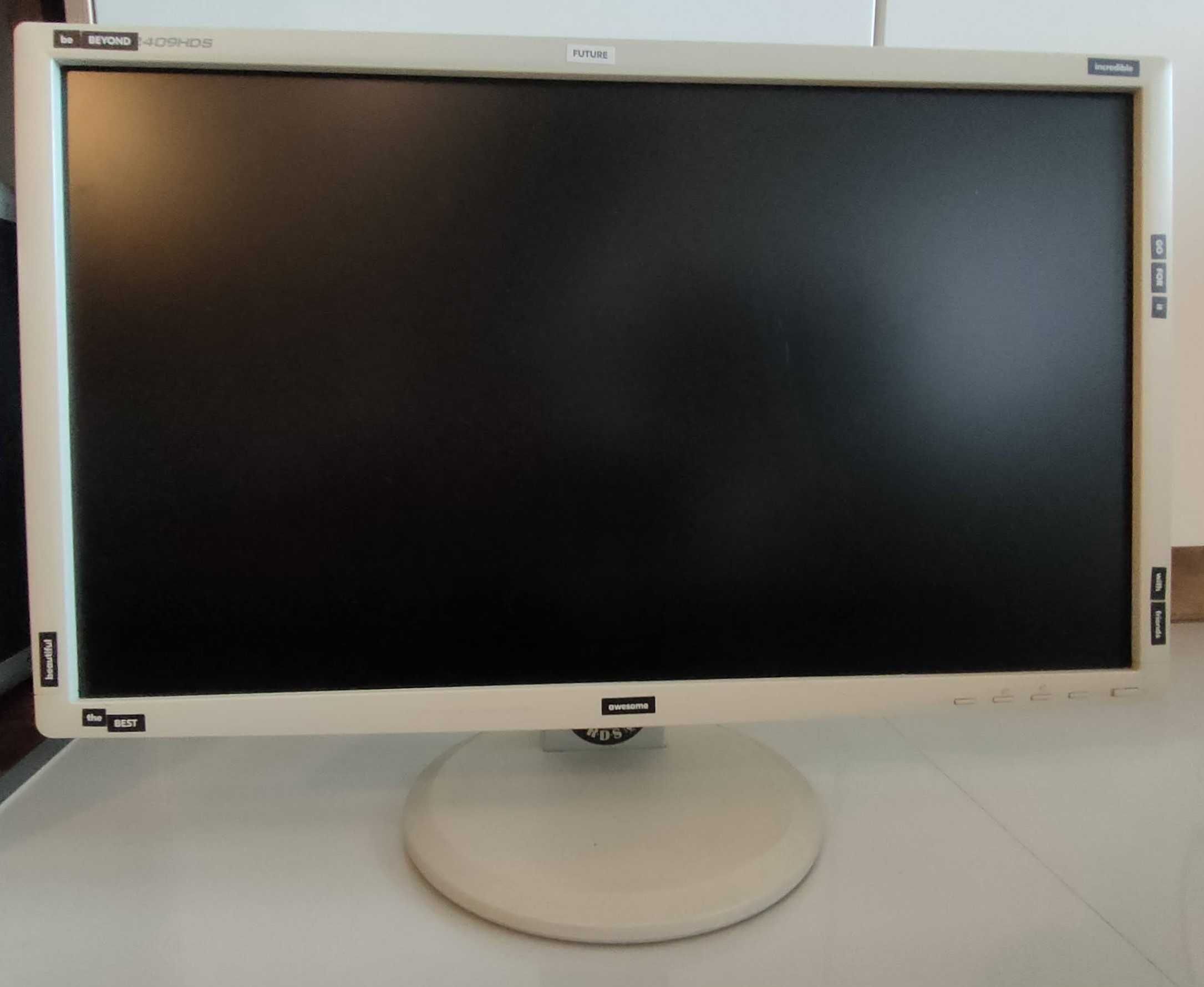 Monitor Iiyama ProLite B2409HDS