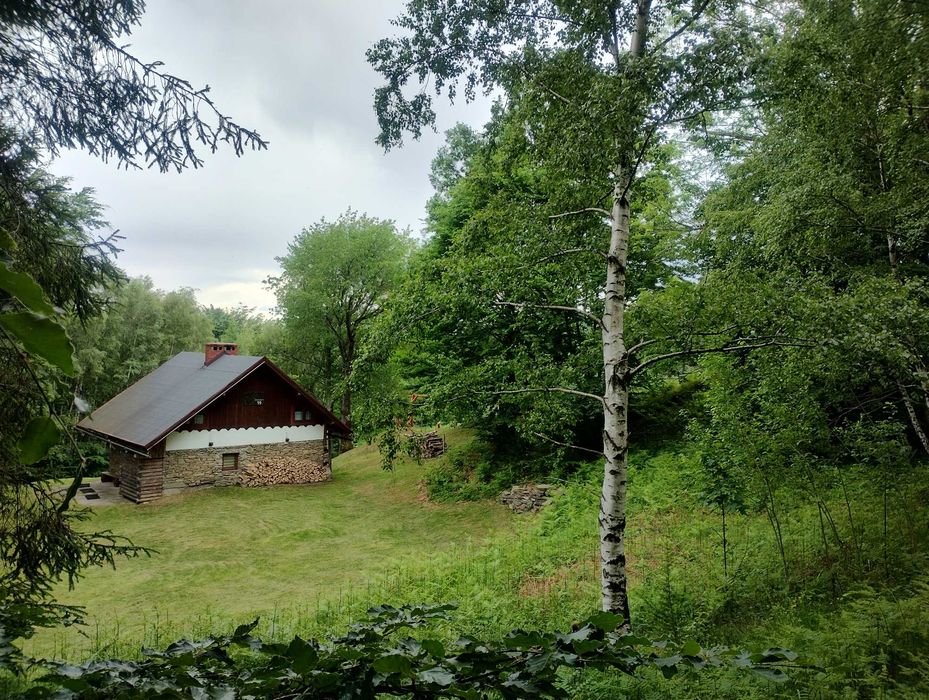 Bacówka-Górska Ostoja-Domek W Górach W Środku Lasu - Brenna