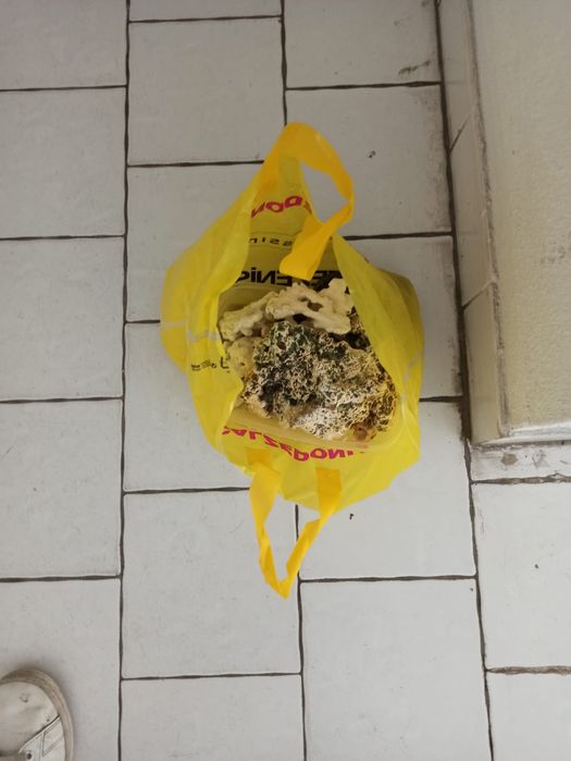 Aquário 58x33x35 cm