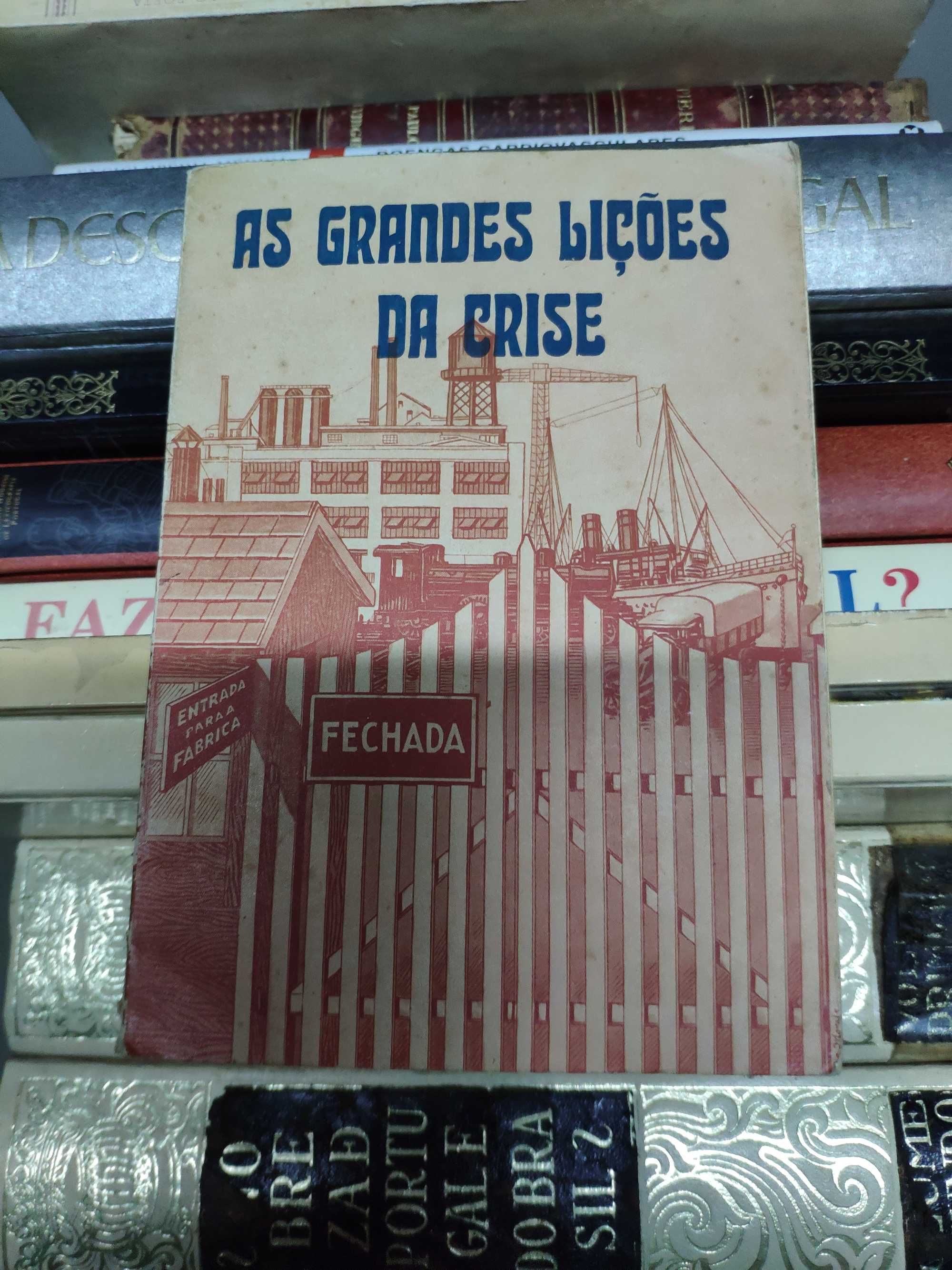 As grandes lições da crise - livro antigo