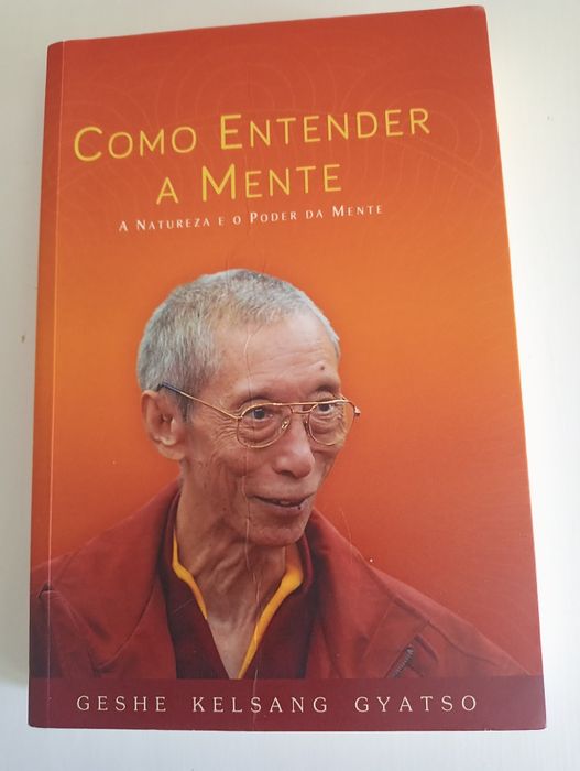 Como Entender a Mente