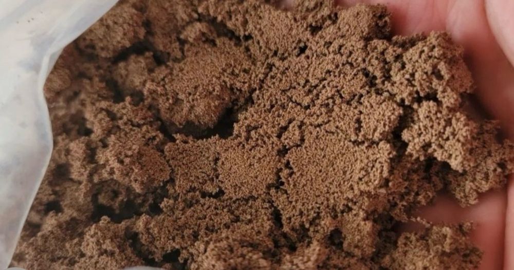 Яйця артемії. Виход 90%