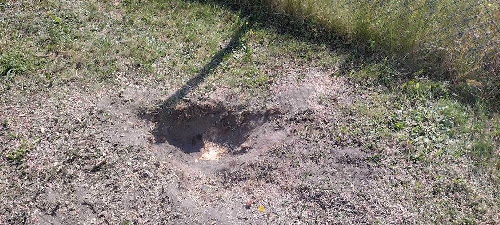 Usuwanie pni Frezowanie pni