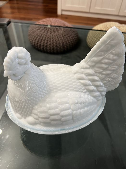 Duża Biała Kura Ząbkowice