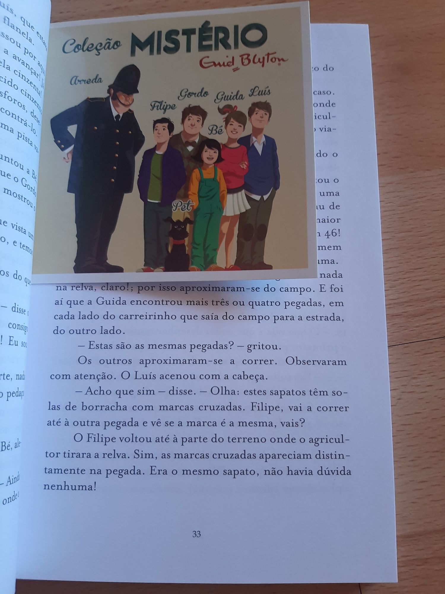 Livro 'O Mistério da casa queimada'