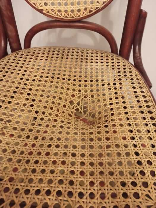 6 szt krzesła Rattan proj. Thonet Jasienica mahoń