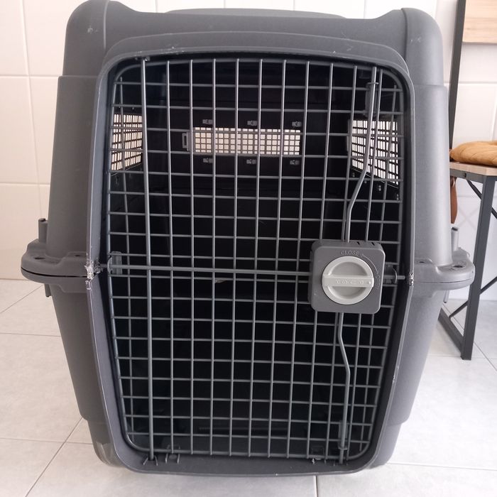 Transportadora tamanho 6