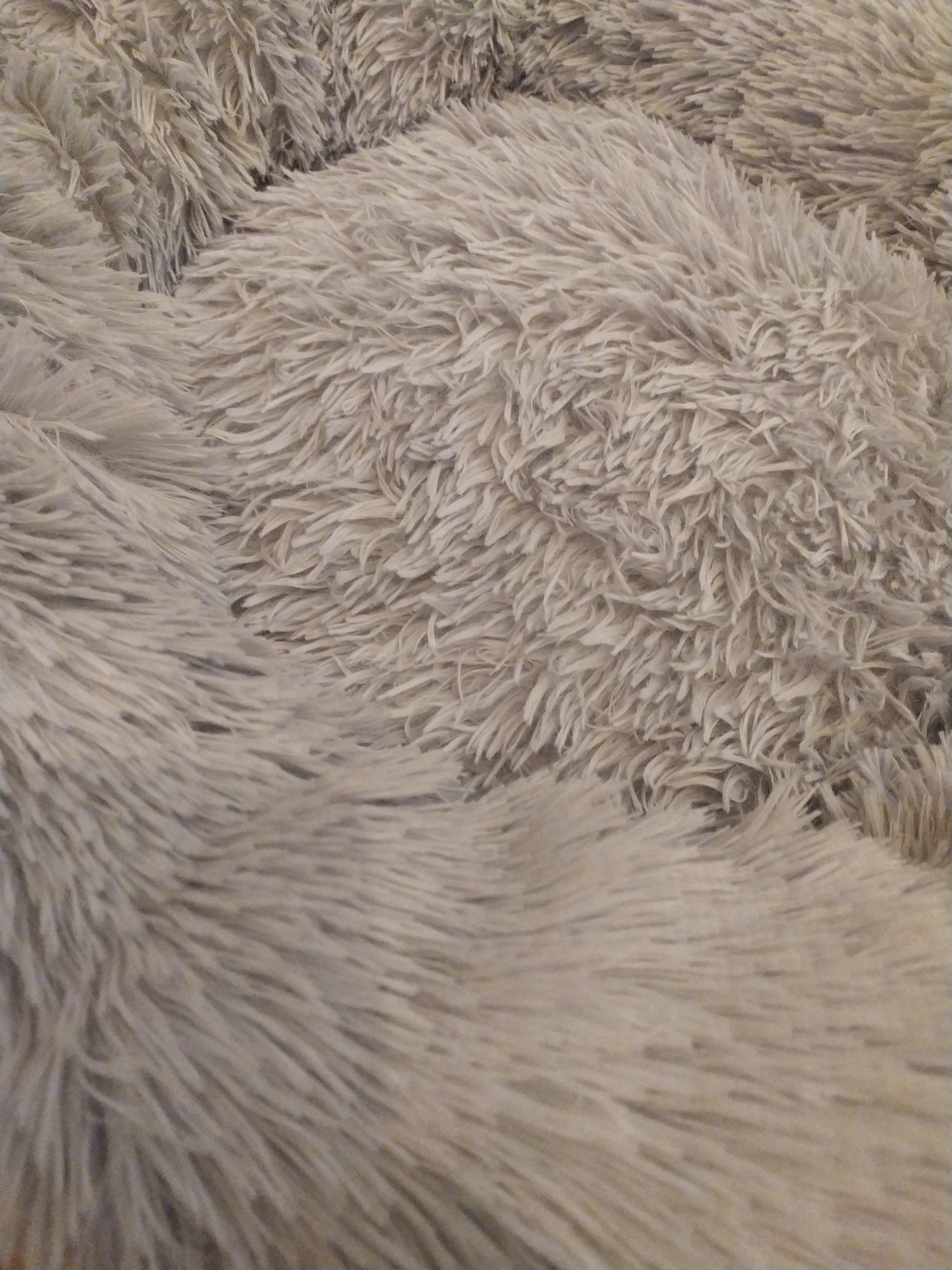 Cama para gato ou cão nova