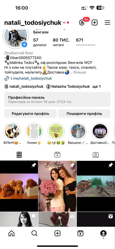 Маємо дуже гарний вибір класних цуценят