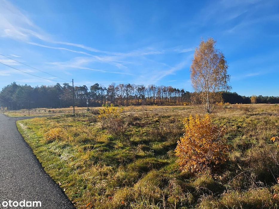 Działka z potencjałem pod zabudowę jednorodzinną - Ołobok, 23 ary