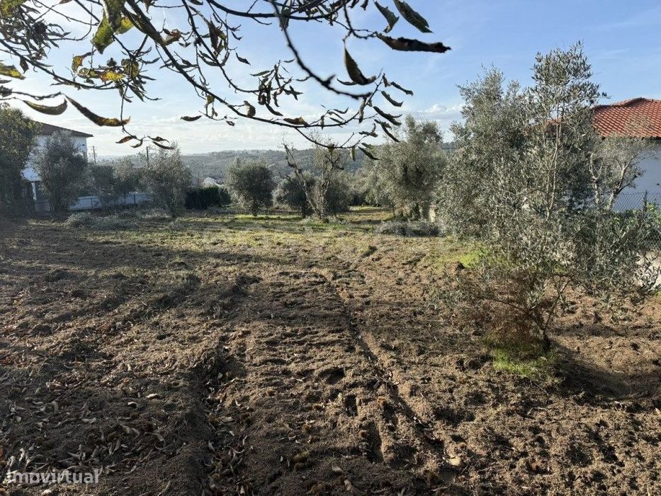 Terreno urbanizável com 1200m2, localizado no concelho de Sátão