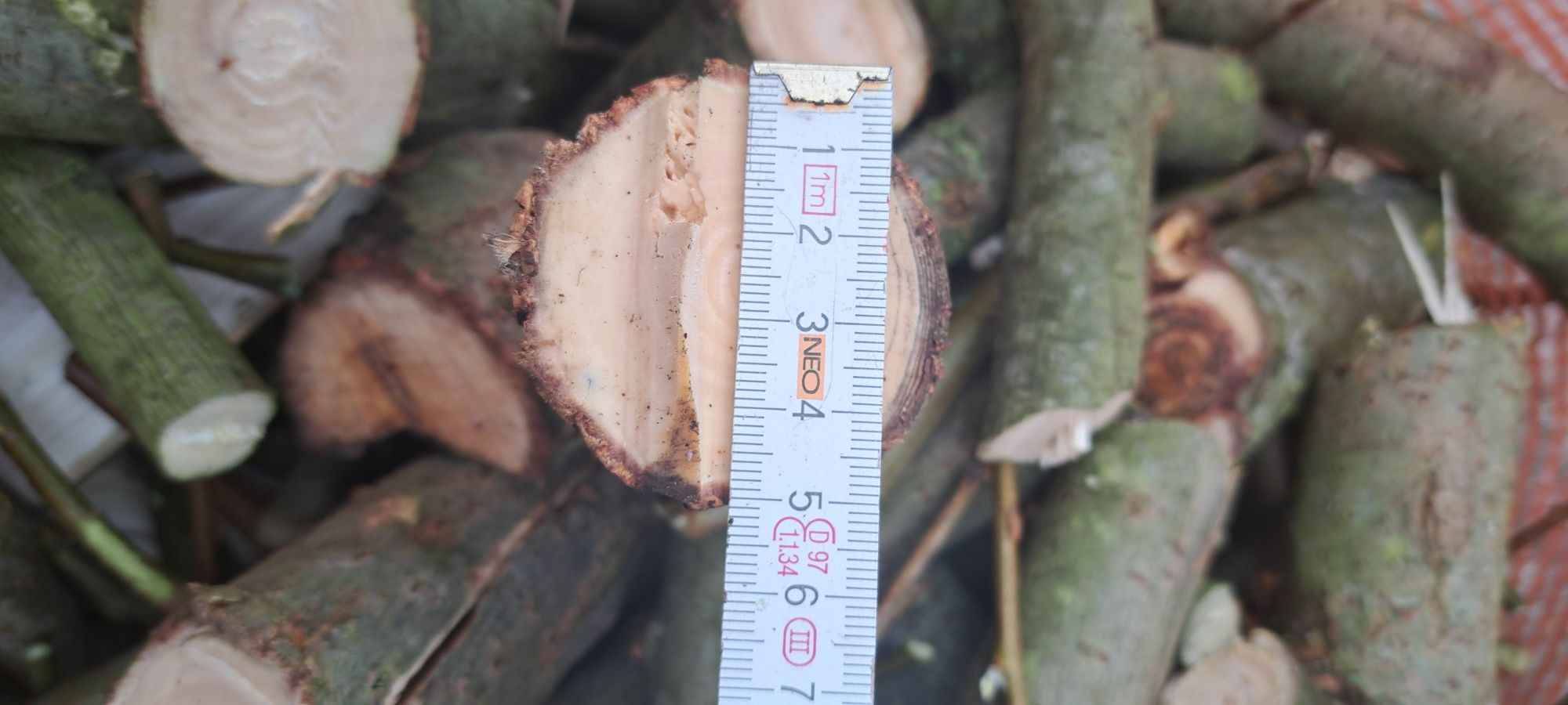 Rębak spalinowy do gałęzi grubość 70 mm