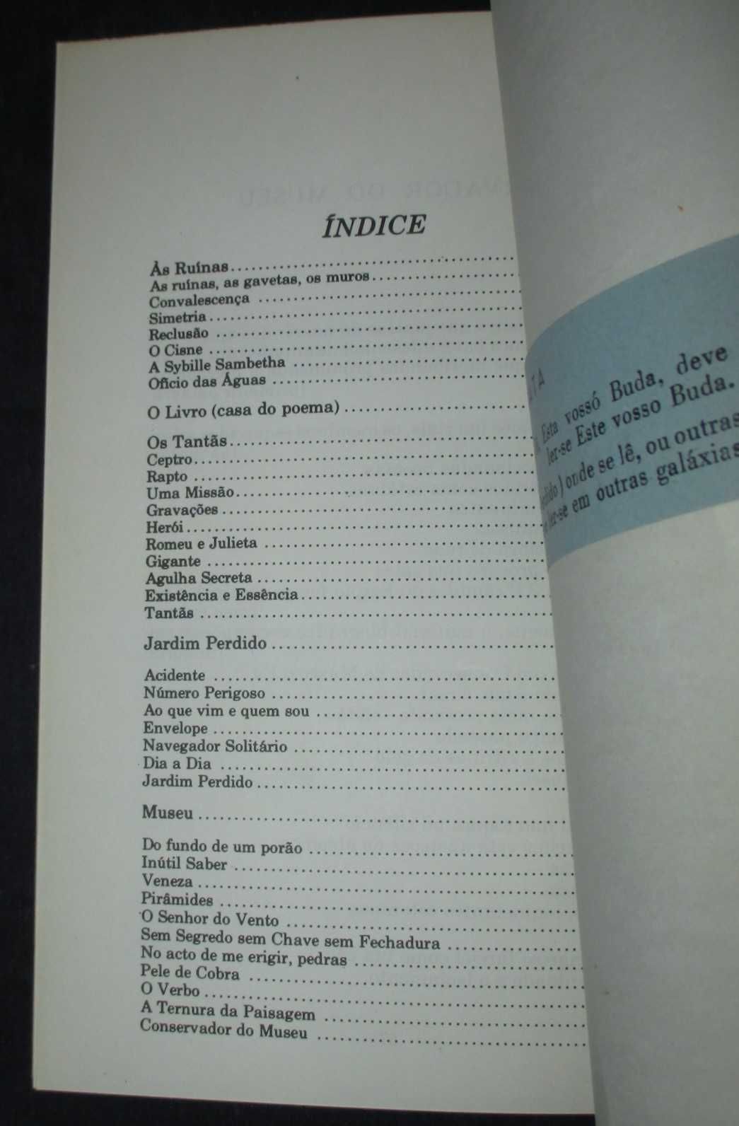 Livro Cadernos do Interior Vasco Câmara Pestana
