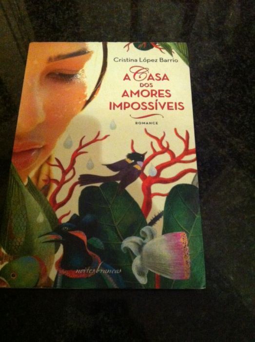 livro a casa dos amores impossiveis