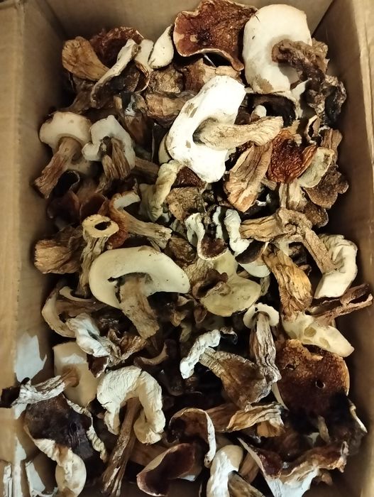 Продам сухі білі гриби.