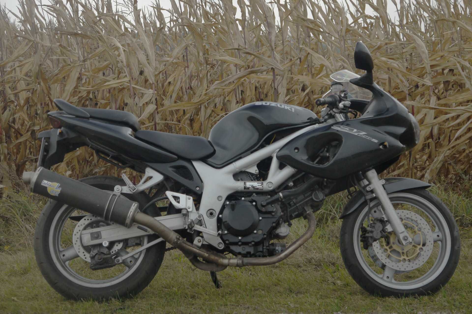 Suzuki SV650 SV 650 - 1999r.