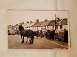 Stara Pocztówka Zdjęcie Konie 254 Princetown Anglia