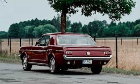 Auto do ślubu wesele klasyk Ford Mustang 1966 r. Wolne terminy 2024 r.