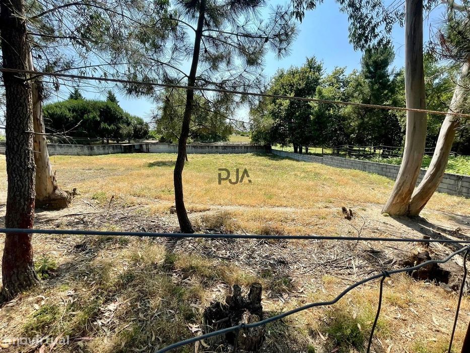Terreno com viabilidade construtiva em Santa Comba Dão