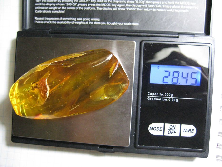 Чудовий подарунок.Янтарь натуральный 28,4 грамма с насекомым внутри