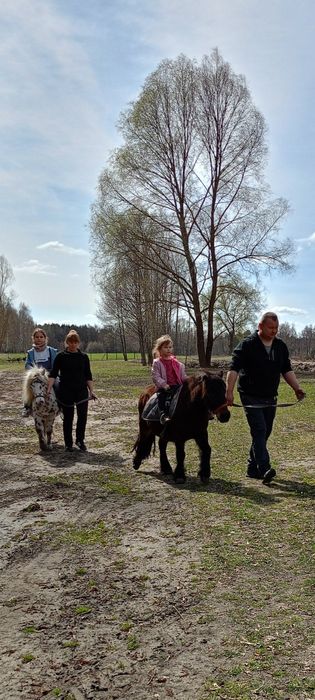 Sprzedam klaczkę kuca