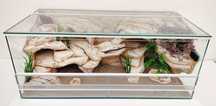 Terrarium dla agamy brodatej, pytona królewskiego, TW10W3L, AquaWaves