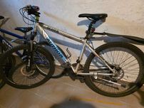 Rower Autohor Dexter