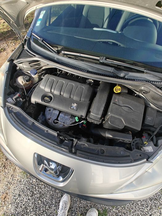 Pegeaut 207 a gasolina