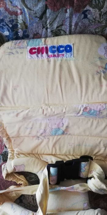 Canguru marca Chico (marcupial)