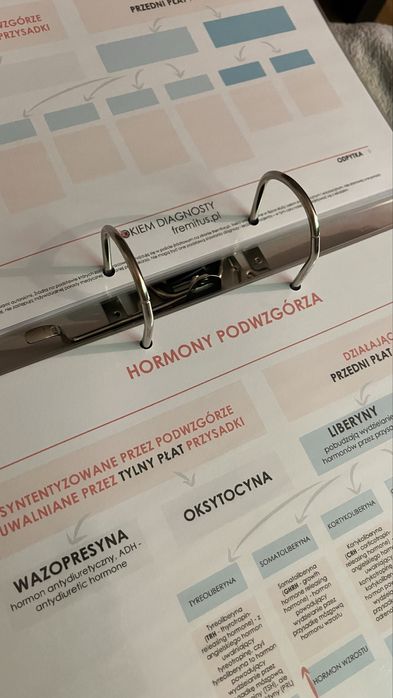 Fiszki do nauki segregator