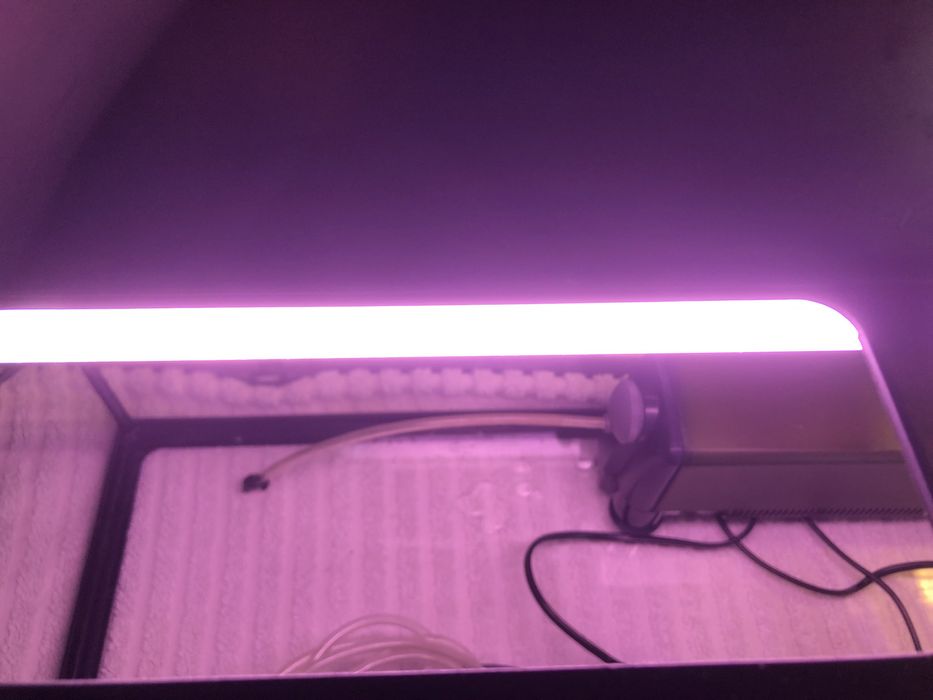 Aquário para peixes