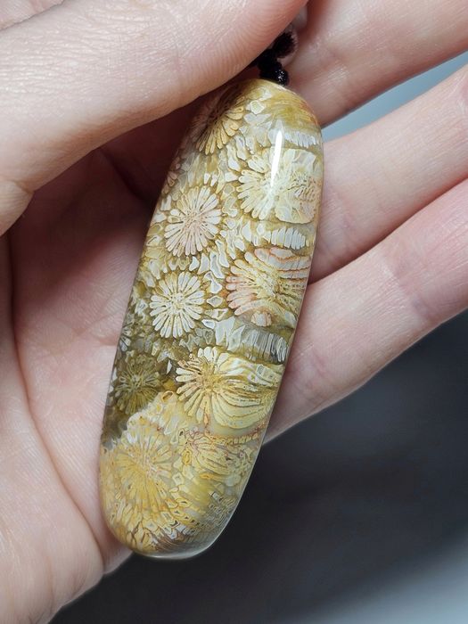 Koral kopalny naturalny.