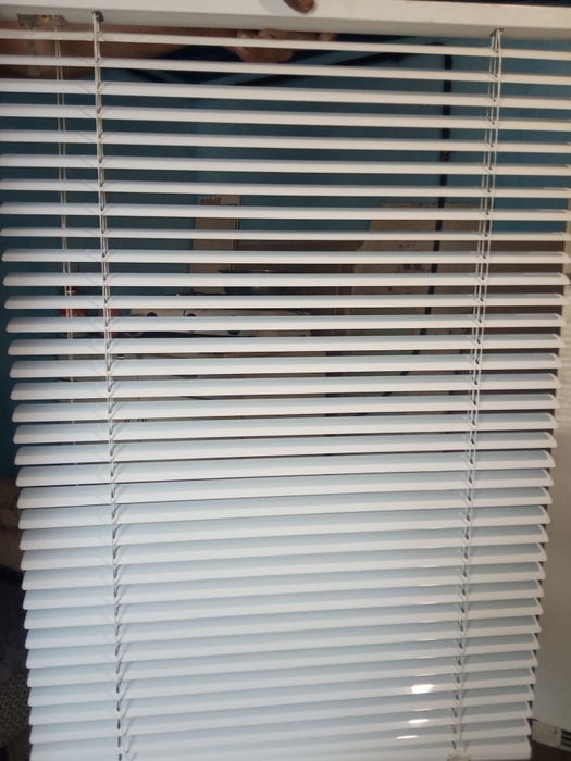 Жалюзі на вікна .