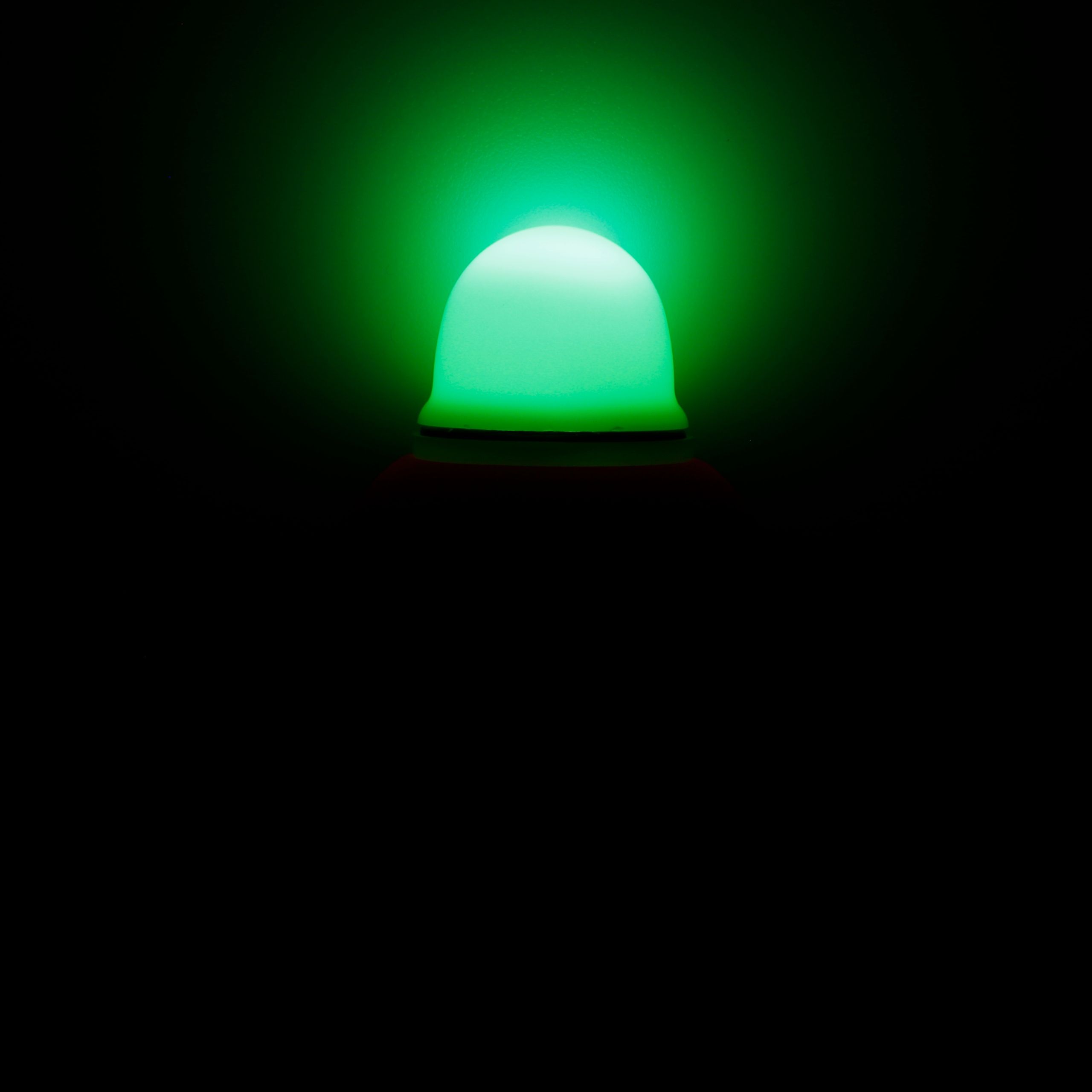 Spławik żywcowy świecący LED 40 g