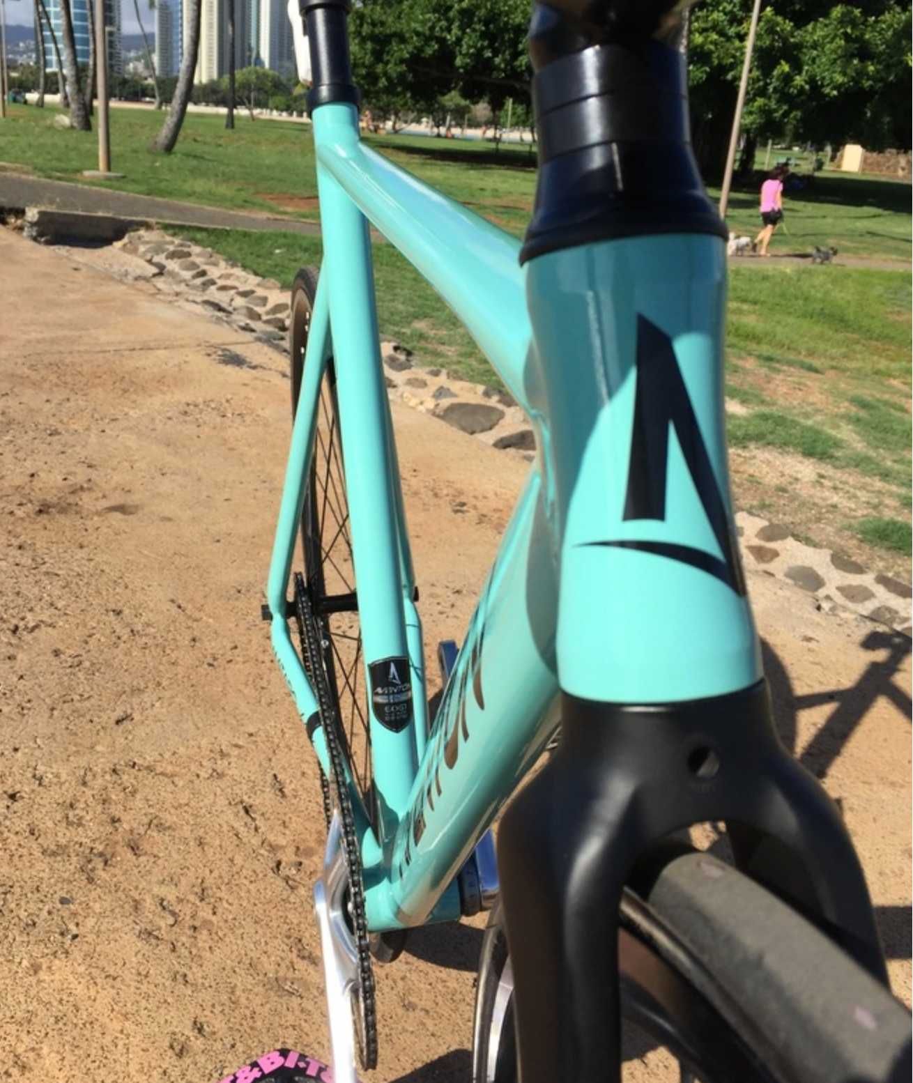 Bike Fixa/ Fixed Gear Aventon