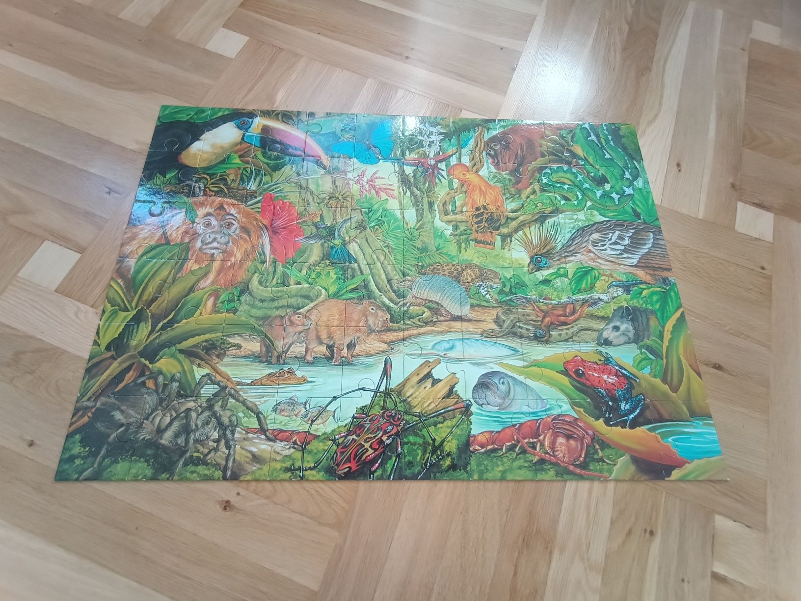Puzzle amazońska dżungla