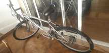 Bicicleta Adulto